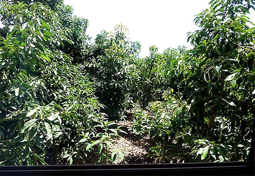Casa Villa Tenerife Las Galletas Exterior foto